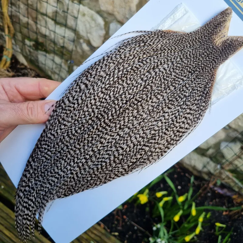 Whiting High and Dry Rooster Cape in Grizzly Dyed Medium Dun-5